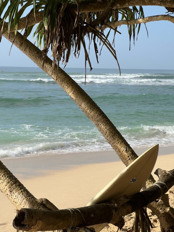 wego-adventures-sri-lanka-surf-camp-1