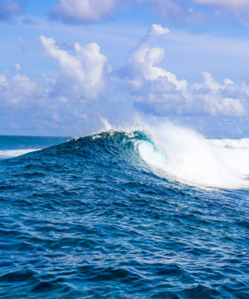 wegoadventures-maldive-surf-camp-2